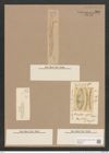 Navicula fortis (Greg.) Ralfs. (de-Toni-Nr.: Genus 1, Species 119) Zeichnungen Sammlung Grunow Nr. 368 (NHMW-BOT-W0366659)